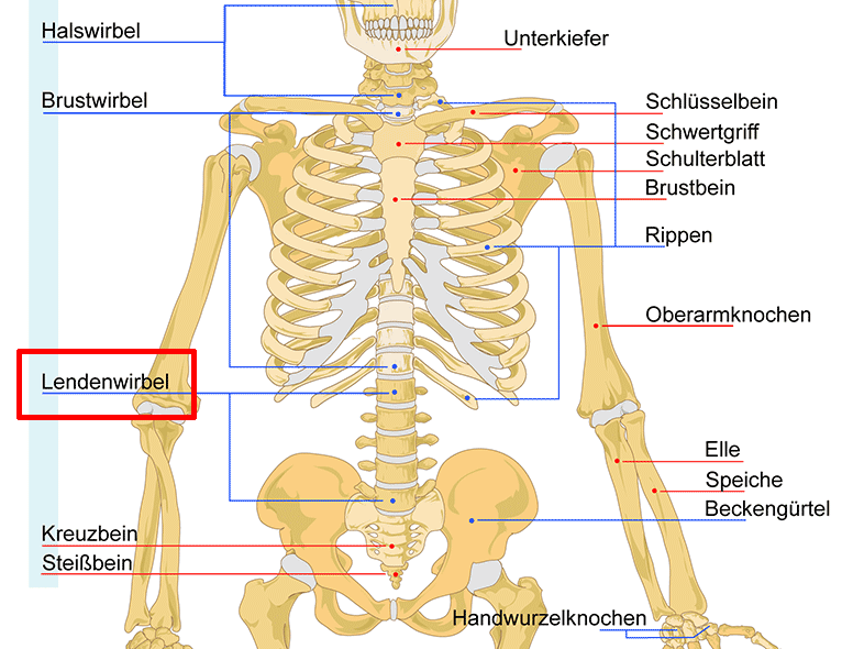 Nerv eingeklemmt steißbein Nerv eingeklemmt?