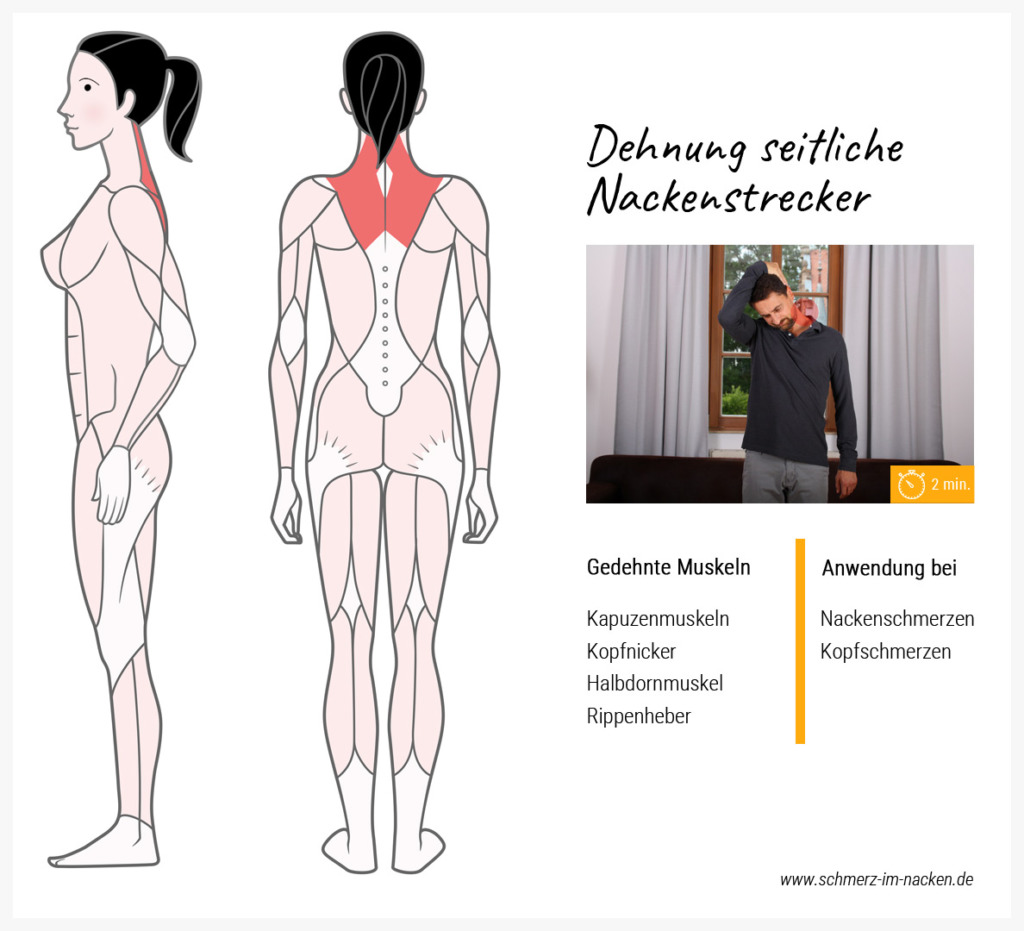 Dehnübungen bei Nackenschmerzen - Schmerzfrei werden!