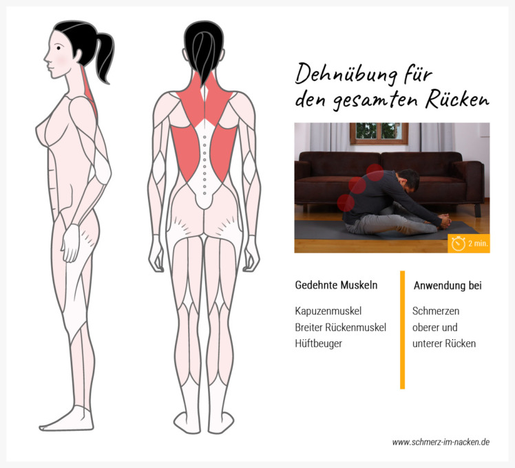Indem du deinen Rücken einrollst, dehnst du deine komplette Rückenmuskulatur