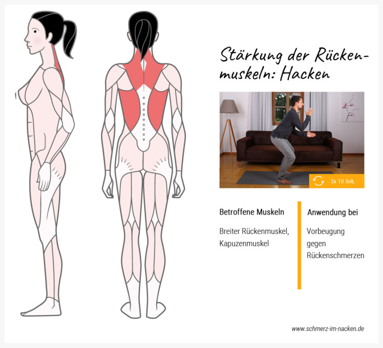Eine tolle Übung um den gesamten Rücken zu kräftigen ist die Hackbewegung