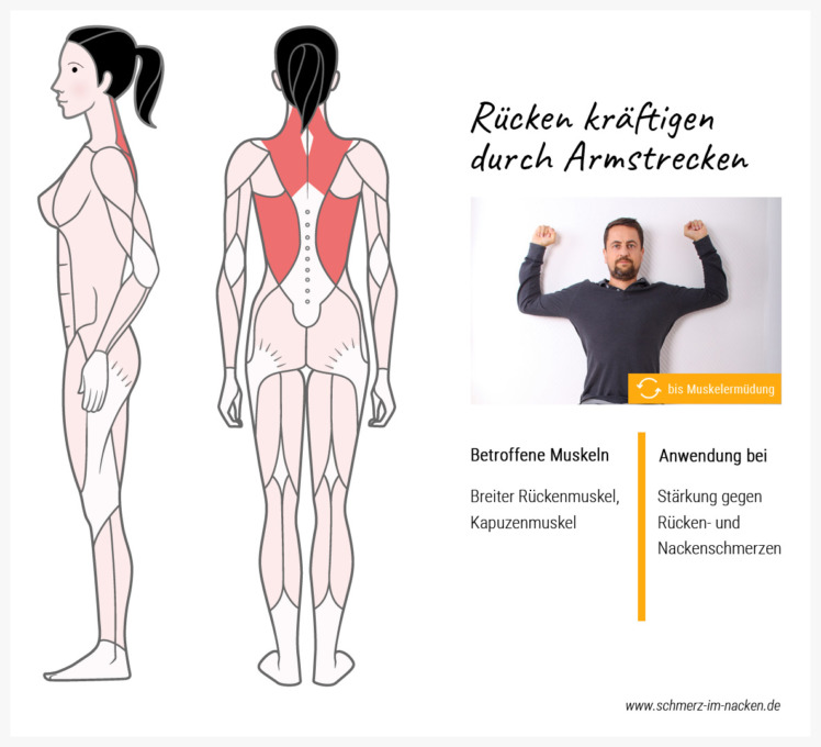 Diese Übung stärkt gleichzeitig den großen Rückenmuskel und den Kapuzenmuskel