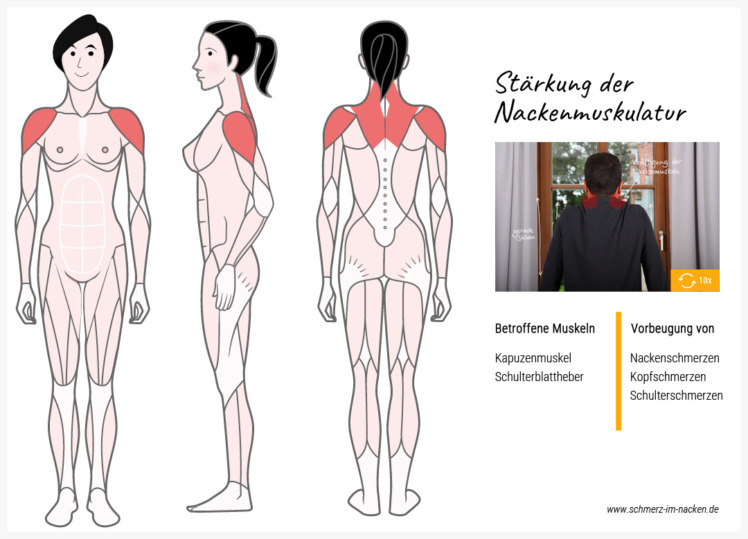 Indem du langsam deine Schulter nach oben ziehst und das mehrfach wiederholst, trainierst du deine Nackenmuskulatur