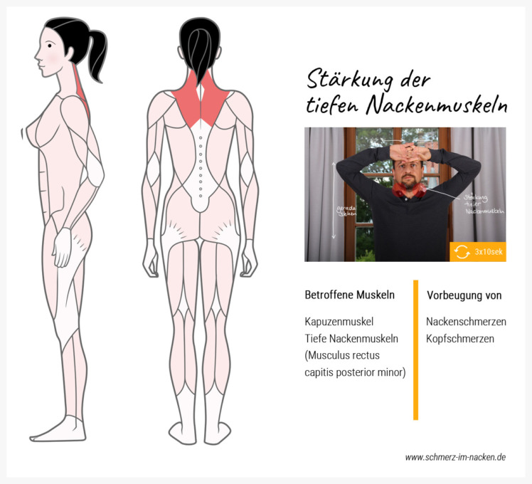 Indem du deinen Kopf gegen die Hand presst, stärkst du deine tiefen Nackenmuskeln und den Kapuzenmuskel
