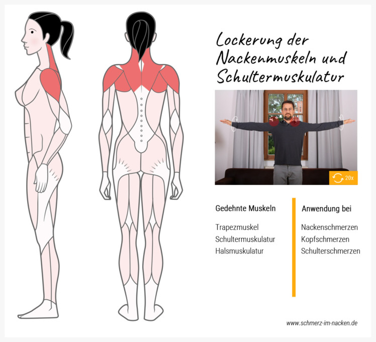 Durch Armkreisen kann man ganz einfach die Nacken- und Schultermuskulatur lockern